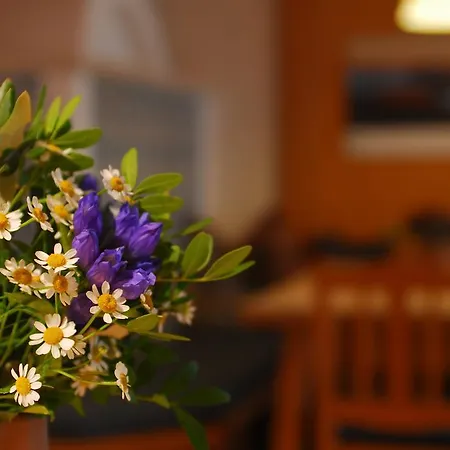 Alpenlodge 호텔 3*