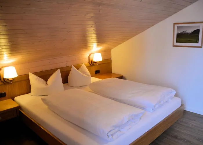 Hotel Alpenlodge 3*